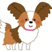 ヒメ日記 2025/09/26 20:05 投稿 るいか すごいエステ仙台店