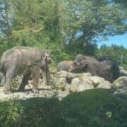 ヒメ日記 2026/02/19 22:20 投稿 るいか すごいエステ仙台店