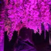 ヒメ日記 2025/12/07 19:24 投稿 三枝 鶯谷人妻城