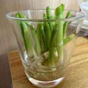 ヒメ日記 2026/03/11 18:42 投稿 三枝 鶯谷人妻城