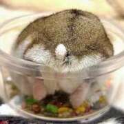 ヒメ日記 2026/01/27 07:01 投稿 るい 性春放課後スクワット五反田編