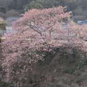 ヒメ日記 2026/02/16 22:17 投稿 るい 性春放課後スクワット五反田編