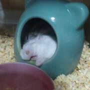 ヒメ日記 2026/03/16 07:15 投稿 るい 性春放課後スクワット五反田編