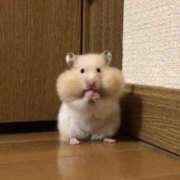 ヒメ日記 2026/03/17 22:30 投稿 るい 性春放課後スクワット五反田編