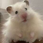 ヒメ日記 2026/03/27 13:30 投稿 るい 性春放課後スクワット五反田編