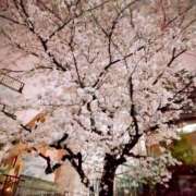 ヒメ日記 2026/04/02 07:15 投稿 るい 性春放課後スクワット五反田編