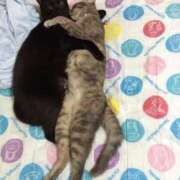 ヒメ日記 2025/08/16 12:09 投稿 えん エレガンス(広島)