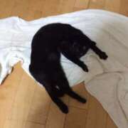 ヒメ日記 2025/08/26 10:52 投稿 えん エレガンス(広島)