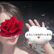 ヒメ日記 2025/12/12 17:05 投稿 ゆきな 渋谷蘭の会