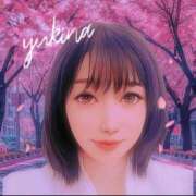 ヒメ日記 2025/12/19 00:15 投稿 ゆきな 渋谷蘭の会