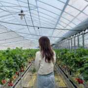 ヒメ日記 2025/08/06 13:24 投稿 凛 ごほうびSPA神戸店