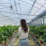 ヒメ日記 2026/03/27 13:54 投稿 凛 ごほうびSPA神戸店