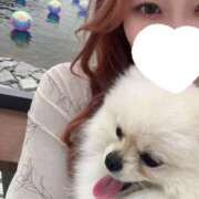 ヒメ日記 2026/04/02 16:14 投稿 凛 ごほうびSPA神戸店