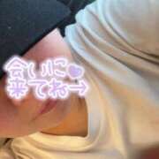 ヒメ日記 2025/09/15 17:09 投稿 くみ 白いぽっちゃりさん五反田店