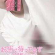 ヒメ日記 2025/09/25 13:09 投稿 くみ 白いぽっちゃりさん五反田店