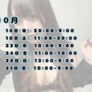 ヒメ日記 2025/10/14 19:19 投稿 くみ 白いぽっちゃりさん五反田店