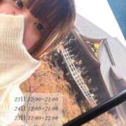 ヒメ日記 2025/12/23 09:49 投稿 くみ 白いぽっちゃりさん五反田店