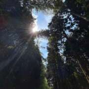 ヒメ日記 2025/07/27 17:47 投稿 臼田 あさ美 熟女・人妻マダム宮殿