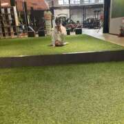 ヒメ日記 2025/10/25 13:38 投稿 臼田 あさ美 熟女・人妻マダム宮殿