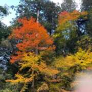 ヒメ日記 2025/11/26 15:43 投稿 臼田 あさ美 熟女・人妻マダム宮殿