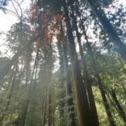 ヒメ日記 2025/11/26 17:17 投稿 臼田 あさ美 熟女・人妻マダム宮殿