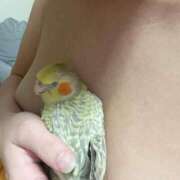 ヒメ日記 2025/11/26 22:47 投稿 臼田 あさ美 熟女・人妻マダム宮殿