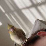 ヒメ日記 2025/11/30 15:01 投稿 臼田 あさ美 熟女・人妻マダム宮殿