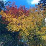 ヒメ日記 2025/12/01 08:09 投稿 臼田 あさ美 熟女・人妻マダム宮殿