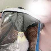 ヒメ日記 2026/04/11 17:31 投稿 臼田 あさ美 熟女・人妻マダム宮殿