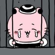 ヒメ日記 2025/12/17 12:02 投稿 ルリ バニーコレクション千葉栄町店