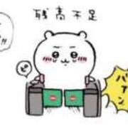 ヒメ日記 2026/01/31 16:50 投稿 ルリ バニーコレクション千葉栄町店