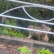 ヒメ日記 2025/10/07 22:15 投稿 大塚あや 池袋デリヘル倶楽部