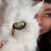 ヒメ日記 2025/09/17 12:06 投稿 大塚あゆみ 池袋デリヘル倶楽部