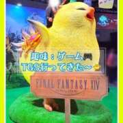 ヒメ日記 2025/09/28 22:25 投稿 大塚つかさ 池袋デリヘル倶楽部