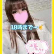 ヒメ日記 2025/11/21 11:55 投稿 大塚つかさ 池袋デリヘル倶楽部