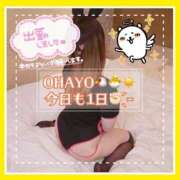 ヒメ日記 2025/11/27 09:45 投稿 大塚つかさ 池袋デリヘル倶楽部