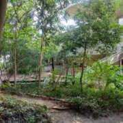 みやび こんにちは😊 尼妻（あまづま）