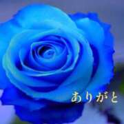 ヒメ日記 2026/08/16 08:39 投稿 今波(いまなみ) 八王子人妻城