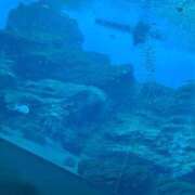 ヒメ日記 2025/10/01 12:24 投稿 みやび 奥様特急三条店