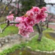 ヒメ日記 2025/08/16 17:57 投稿 ひまり❤S級新人入店 CURE（辻）