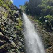 ヒメ日記 2025/08/30 17:37 投稿 ひまり❤S級新人入店 CURE（辻）