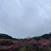 ヒメ日記 2025/10/05 09:27 投稿 ひまり❤S級新人入店 CURE（辻）