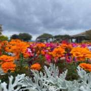 ひまり❤S級新人入店 予約してくれたお兄さん💦 CURE（辻）