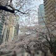 ヒメ日記 2026/03/30 17:01 投稿 絵奈（エナ） アバンチュール(五反田)