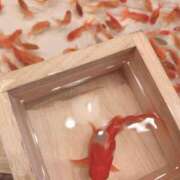 ヒメ日記 2025/07/28 17:30 投稿 ゆき 素人巨乳ちゃんこ「東千葉店」