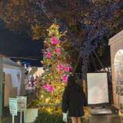 ヒメ日記 2025/12/14 08:54 投稿 ちな スピードエコ日本橋店