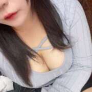 ヒメ日記 2025/10/30 04:20 投稿 ネジバナ 飾窓