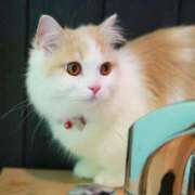 目黒らら 今日はなんかだめな日…😢 ウルトラプラチナム