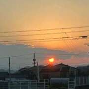 ヒメ日記 2025/11/15 07:02 投稿 よみち 香川サンキュー