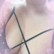 ヒメ日記 2025/11/19 11:22 投稿 よみち 香川サンキュー